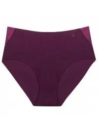 Triumph Flex Smart Maxi EX