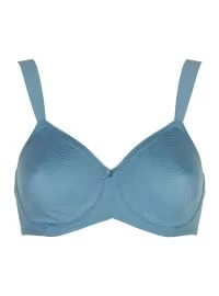 Triumph Essential Minimizer W