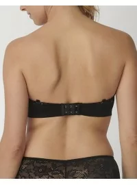 Triumph Vivid Spotlight WDP