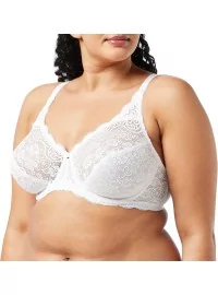 Triumph Amourette 300 W