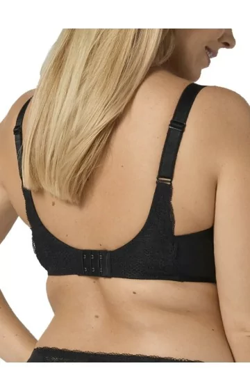 Triumph Modern Feeling WP