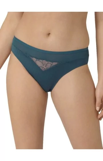 Triumph Azalea Florale Tai 6441