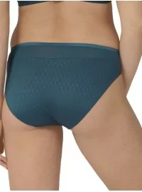 Triumph Azalea Florale Tai 6441