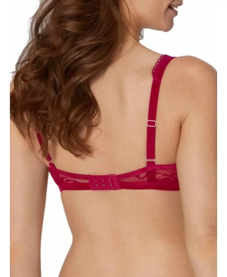 Triumph Velvet Rose starmeši WHP 2370