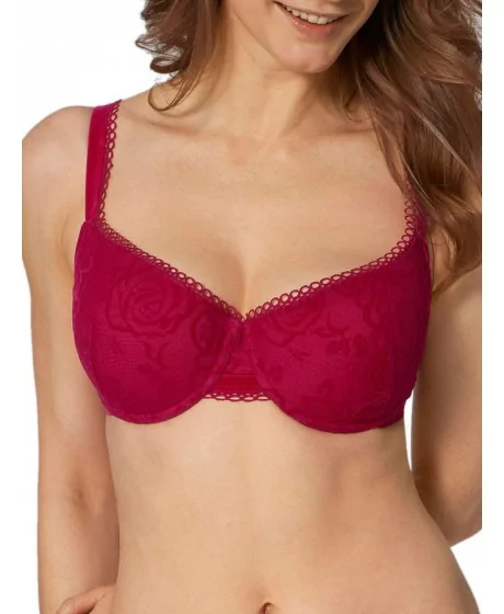 Triumph Velvet Rose starmeši WHP 2370