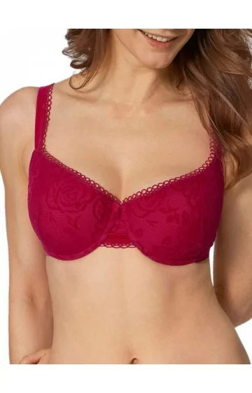 Triumph Velvet Rose starmeši WHP 2370