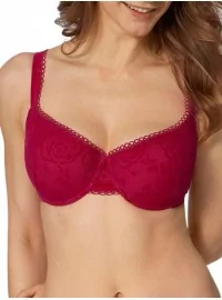 Triumph Velvet Rose starmeši WHP 2370