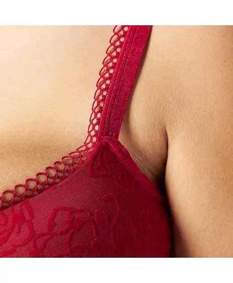 Triumph Velvet Rose starmeši WHP 2370