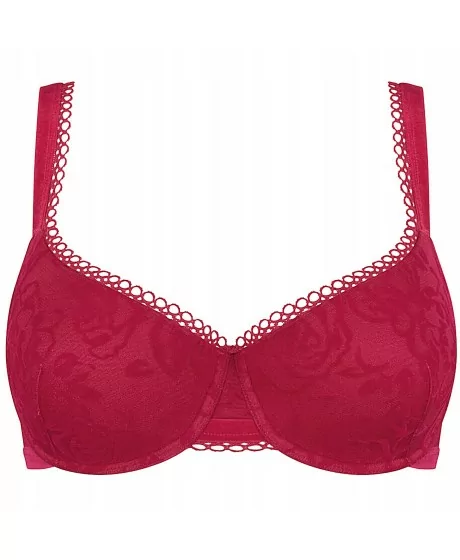 Triumph Velvet Rose starmeši WHP 2370