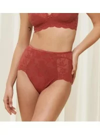 Triumph Amourette 300 Rococo Highwaist biksītes