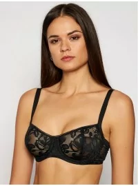 Triumfs Ilustrēts Rose W