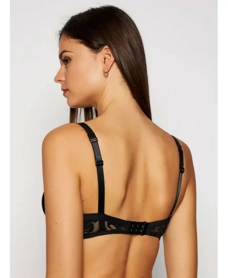 Triumfs Ilustrēts Rose W