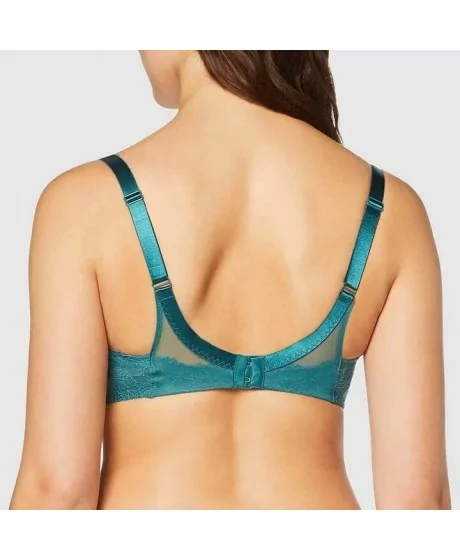 Triumph Lace Spotlight WP