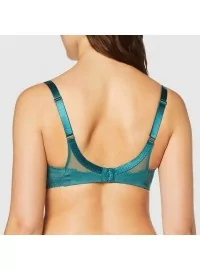 Triumph Lace Spotlight WP