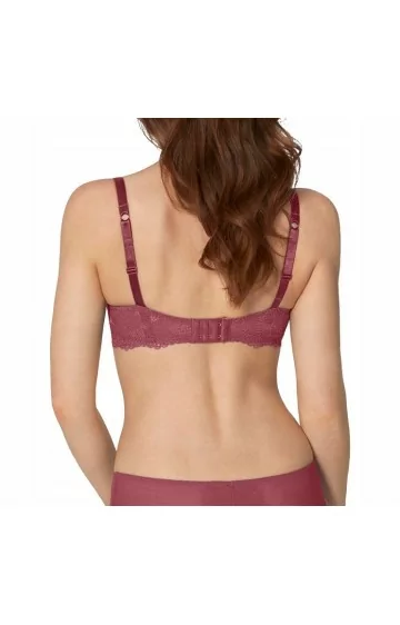 Triumph mežģīņu starmeši WHP01