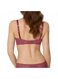 Triumph mežģīņu starmeši WHP01