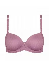 Triumph Azalea Florale WP