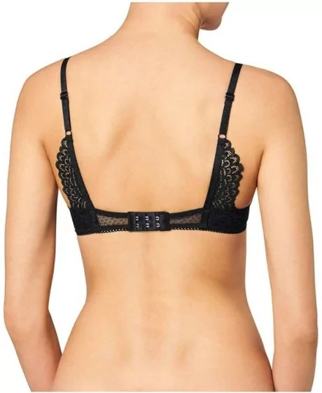 Triumph Darling Spotlight WHP