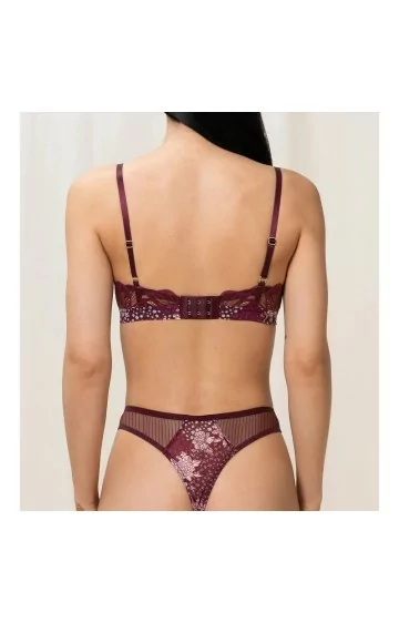 Triumph Lavish Spotlight P