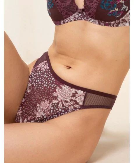 Triumph Lavish Spotlight Stringi ar augstu vidukli