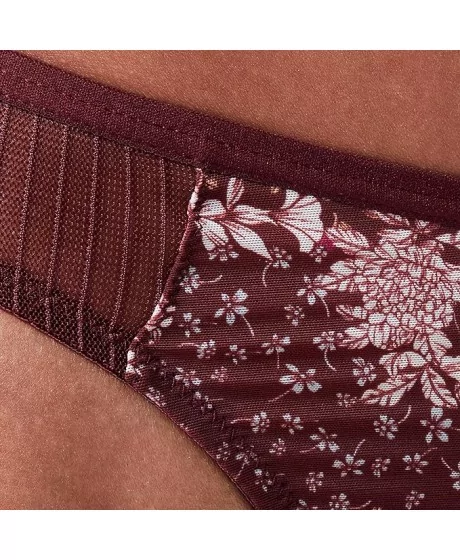 Triumph Lavish Spotlight Stringi ar augstu vidukli