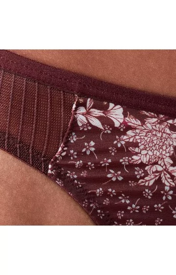 Triumph Lavish Spotlight Stringi ar augstu vidukli