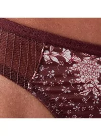 Triumph Lavish Spotlight Stringi ar augstu vidukli