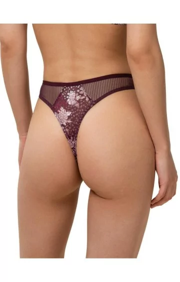 Triumph Lavish Spotlight Stringi ar augstu vidukli