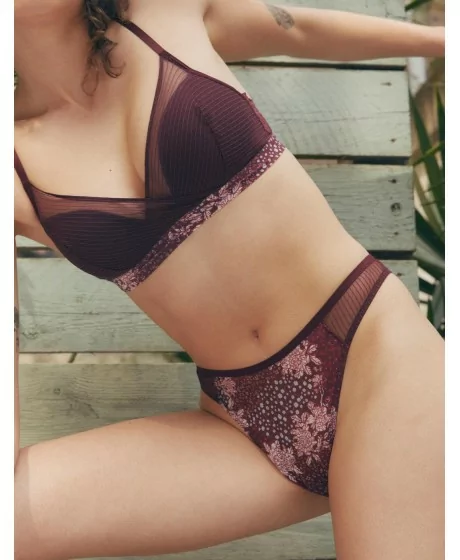 Triumph Lavish Spotlight Stringi ar augstu vidukli