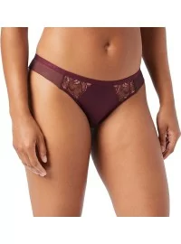 Triumph Freesia Florale Brazīlijas