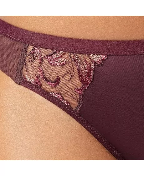 Triumph Freesia Florale Brazīlijas