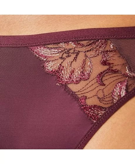 Triumph Freesia Florale Brazīlijas