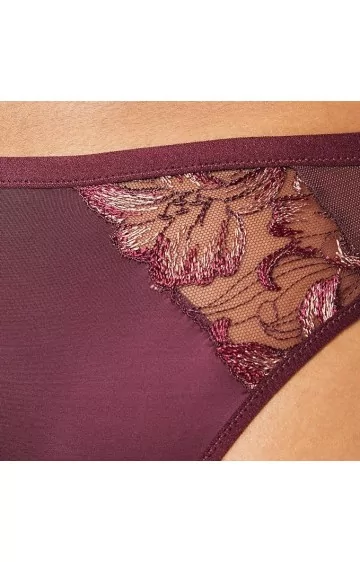 Triumph Freesia Florale Brazīlijas