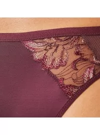 Triumph Freesia Florale Brazīlijas