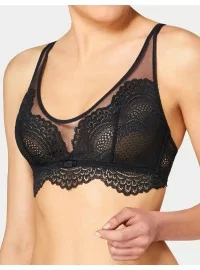 Triumph Darling Spotlight N