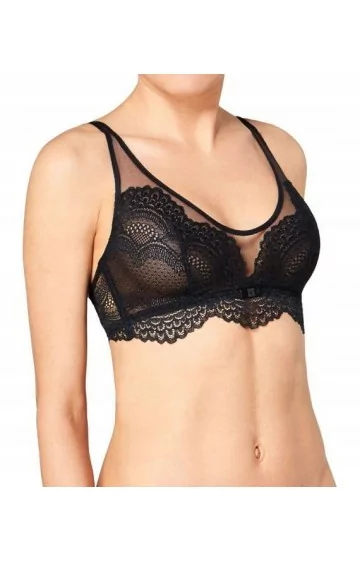 Triumph Darling Spotlight N