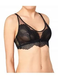 Triumph Darling Spotlight N