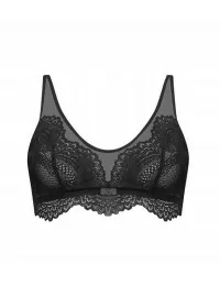 Triumph Darling Spotlight N