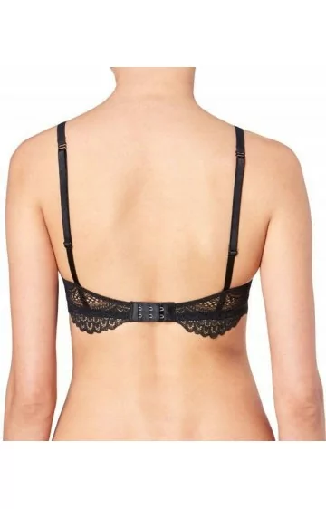 Triumph Darling Spotlight N