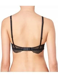 Triumph Darling Spotlight N