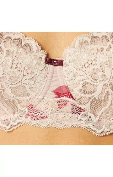 Triumph Amourette Allure WHP