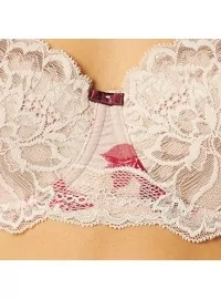 Triumph Amourette Allure WHP