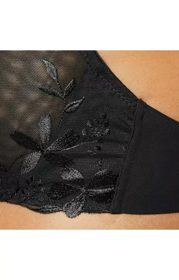 Triumph Sexy Angel Spotlight W02