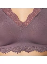 Triumph Velveteen Sensation N01