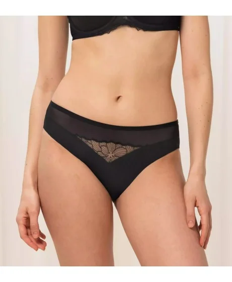 Triumph Azalea Florale Tai 6441