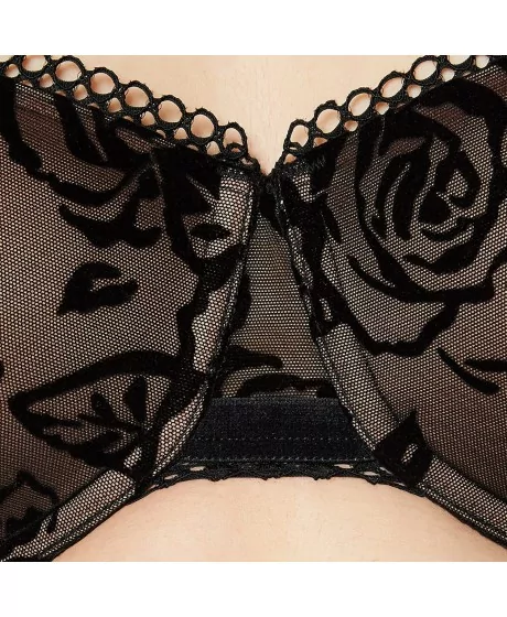 Triumph Velvet Rose Spotlight WHP